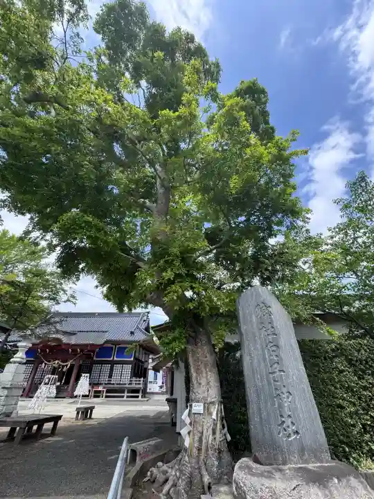 白子神社の{uncategorized: "未分類", other: "その他", undefined: "問題あり", building: "その他建物", grave: "お墓", sacred_gate: "鳥居", guardian: "狛犬", statue: "像", buddha: "仏像", history: "歴史", nature: "自然", garden: "庭園", animal: "動物", pagoda: "塔", temizu: "手水舎", mountain_gate: "山門・神門", sanctuary: "本殿・本堂", subordinate: "末社・摂社", art: "芸術", scenery: "景色", jizo: "地蔵", ema: "絵馬", goshuin: "御朱印", omikuji: "おみくじ", items: "授与品その他", amulet: "お守り", goshuincho: "御朱印帳", eats: "食事", festival: "お祭り", votive_dance: "神楽", shichigosan: "七五三参", wedding: "結婚式", experience: "体験その他", initially: "初詣", around: "周辺", anti_infection: "感染症対策"}