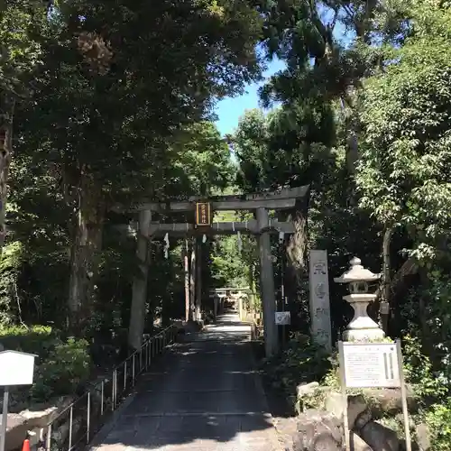 崇道神社の鳥居