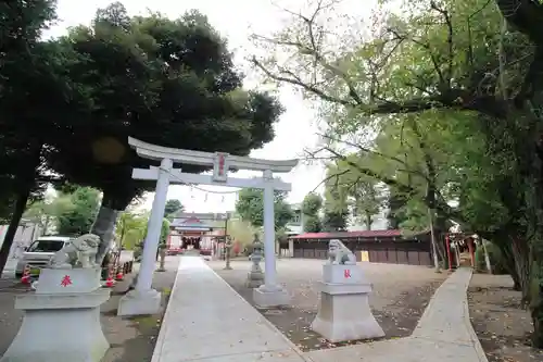 本町南町八幡神社の鳥居