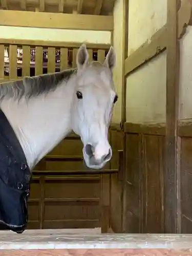 金刀比羅宮(香川県)