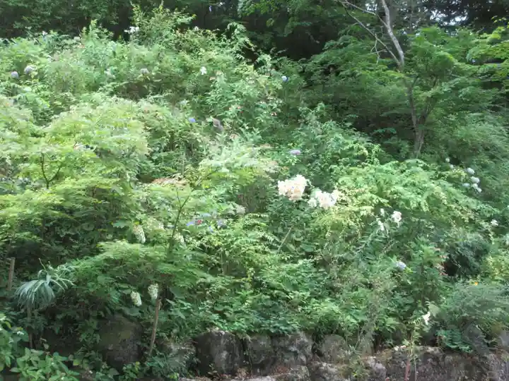 青龍山 吉祥寺(群馬県)
