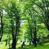 土津神社|こどもと出世の神さまの自然