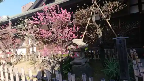 大阪天満宮の自然