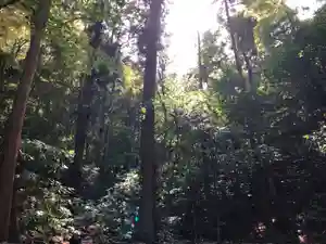 信行寺(福岡県)(2021年05月17日(月) 14時58分07秒投稿)