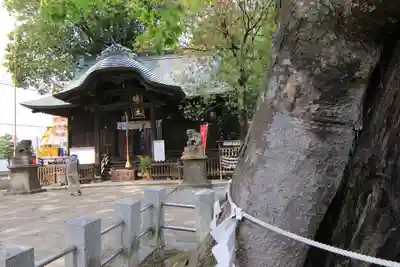 阿邪訶根神社の本殿・本堂