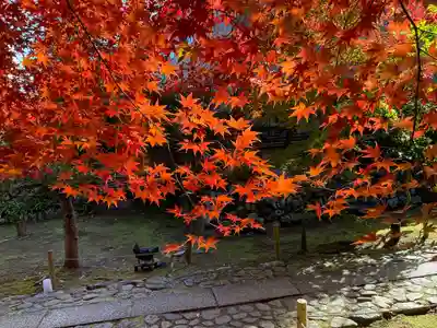 鹿王院(京都府)