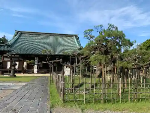 大光院 新田寺の庭園