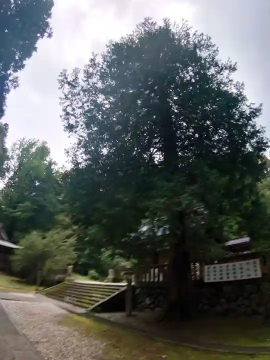 武蔵二宮 金鑚神社の自然