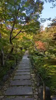 宝筐院(京都府)