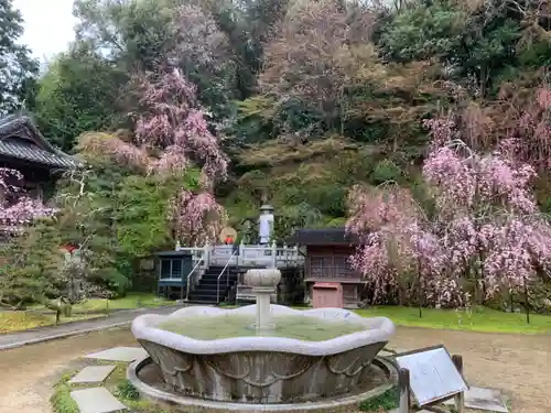 慈尊院のその他建物