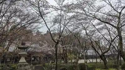 勝持寺（花の寺）(京都府)