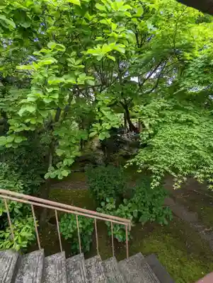 法金剛院(京都府)