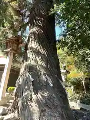 大隴神社(滋賀県)