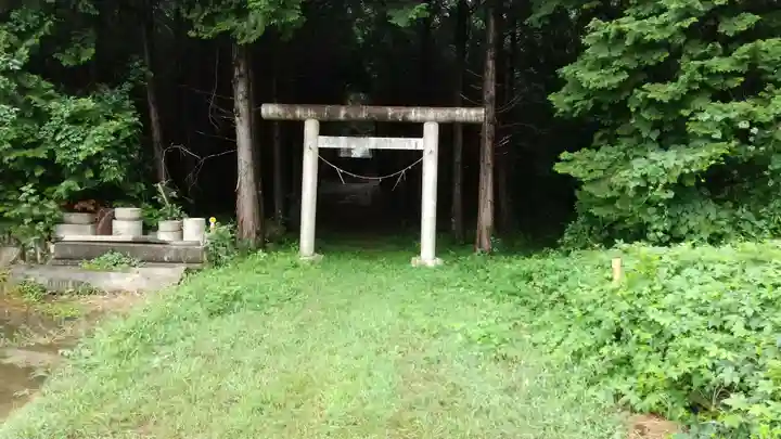 金井神社の鳥居