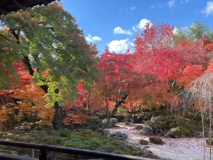宝筐院(京都府)