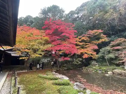 南禅院(京都府)