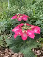 息栖神社の自然