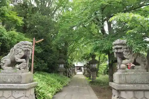 神炊館神社 ⁂奥州須賀川総鎮守⁂の狛犬