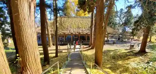 新宮熊野神社のその他建物