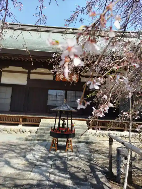 南養寺の本殿・本堂