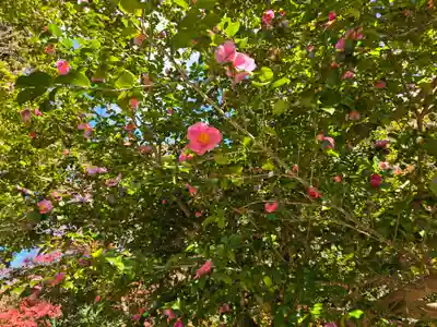 観心寺(大阪府)