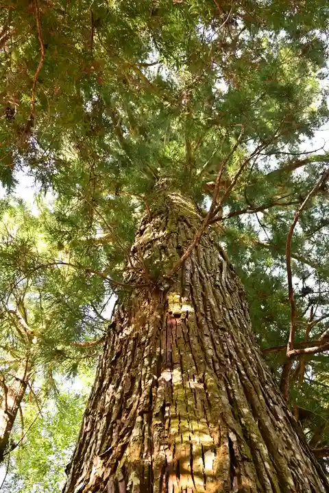三社神社(愛媛県)