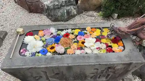 本覚寺の{uncategorized: "未分類", other: "その他", undefined: "問題あり", building: "その他建物", grave: "お墓", sacred_gate: "鳥居", guardian: "狛犬", statue: "像", buddha: "仏像", history: "歴史", nature: "自然", garden: "庭園", animal: "動物", pagoda: "塔", temizu: "手水舎", mountain_gate: "山門・神門", sanctuary: "本殿・本堂", subordinate: "末社・摂社", art: "芸術", scenery: "景色", jizo: "地蔵", ema: "絵馬", goshuin: "御朱印", omikuji: "おみくじ", items: "授与品その他", amulet: "お守り", goshuincho: "御朱印帳", eats: "食事", festival: "お祭り", votive_dance: "神楽", shichigosan: "七五三参", wedding: "結婚式", experience: "体験その他", initially: "初詣", around: "周辺", anti_infection: "感染症対策"}
