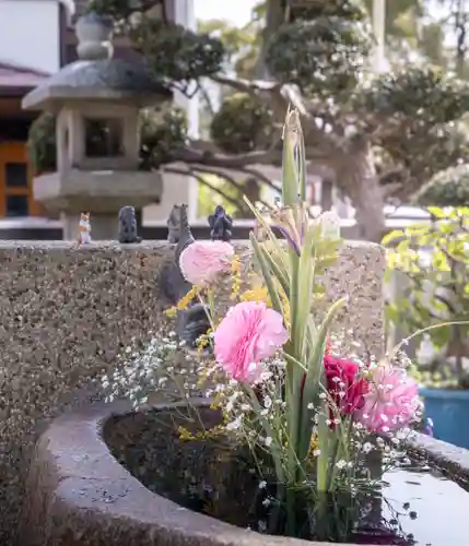 水堂須佐男神社(兵庫県)