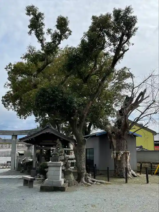 波折神社の自然