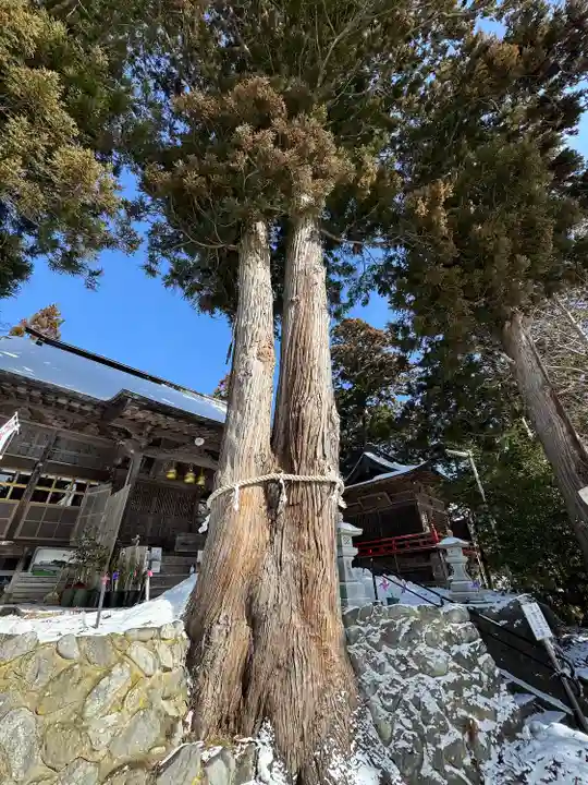 高司神社〜むすびの神の鎮まる社〜(福島県)