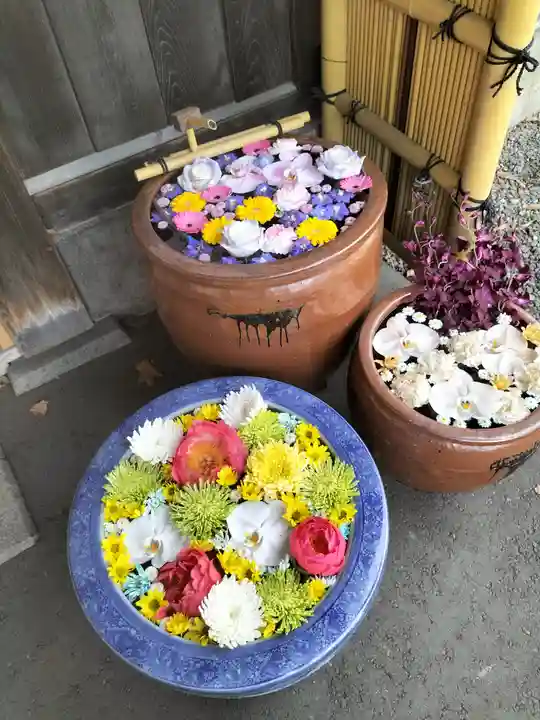 多賀神社の手水舎
