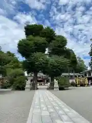 亀ケ池八幡宮の建物その他