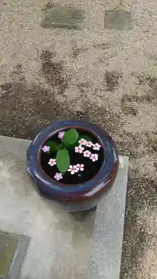 神館神社の手水舎