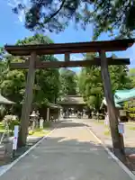 若狭姫神社(若狭彦神社下社)の鳥居