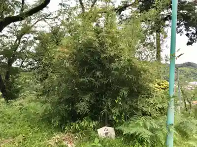 小町神社(神奈川県)