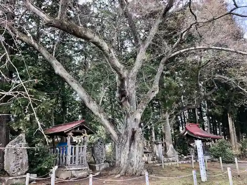 温泉神社(岩手県)