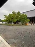 本願寺(西本願寺)(京都府)