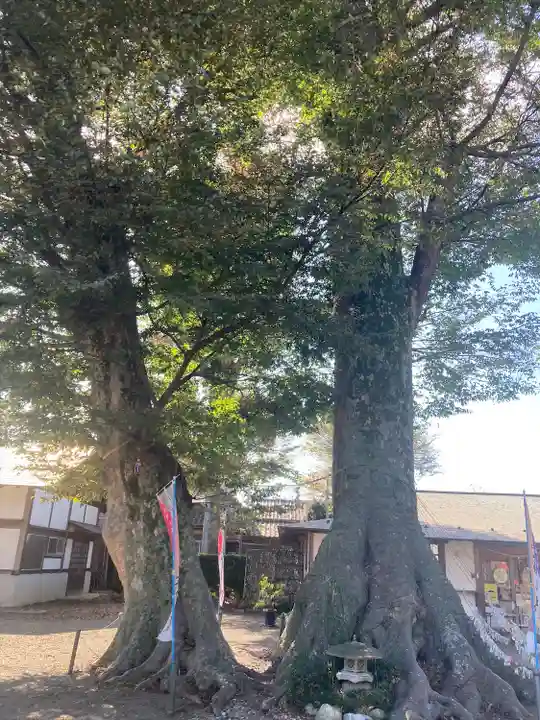 八枝神社(埼玉県)