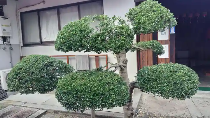 法雲寺(京都府)