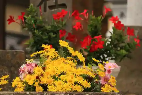 熊野福藏神社の手水