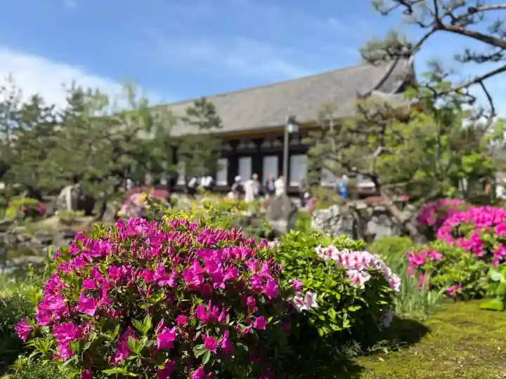 蓮華王院(三十三間堂)の{uncategorized: "未分類", other: "その他", undefined: "問題あり", building: "その他建物", grave: "お墓", sacred_gate: "鳥居", guardian: "狛犬", statue: "像", buddha: "仏像", history: "歴史", nature: "自然", garden: "庭園", animal: "動物", pagoda: "塔", temizu: "手水舎", mountain_gate: "山門・神門", sanctuary: "本殿・本堂", subordinate: "末社・摂社", art: "芸術", scenery: "景色", jizo: "地蔵", ema: "絵馬", goshuin: "御朱印", omikuji: "おみくじ", items: "授与品その他", amulet: "お守り", goshuincho: "御朱印帳", eats: "食事", festival: "お祭り", votive_dance: "神楽", shichigosan: "七五三参", wedding: "結婚式", experience: "体験その他", initially: "初詣", around: "周辺", anti_infection: "感染症対策"}