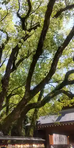 熱田神宮(愛知県)