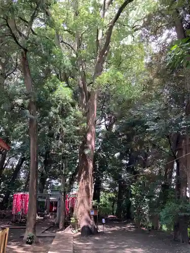 鶴嶺八幡宮(神奈川県)
