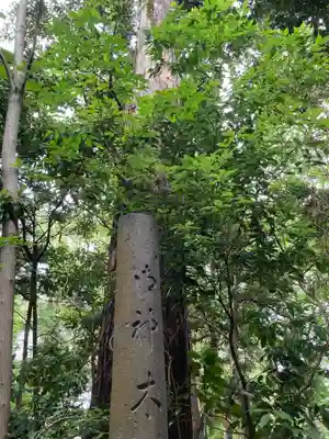 白笹稲荷神社のその他建物