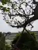 四谷於岩稲荷田宮神社(東京都)