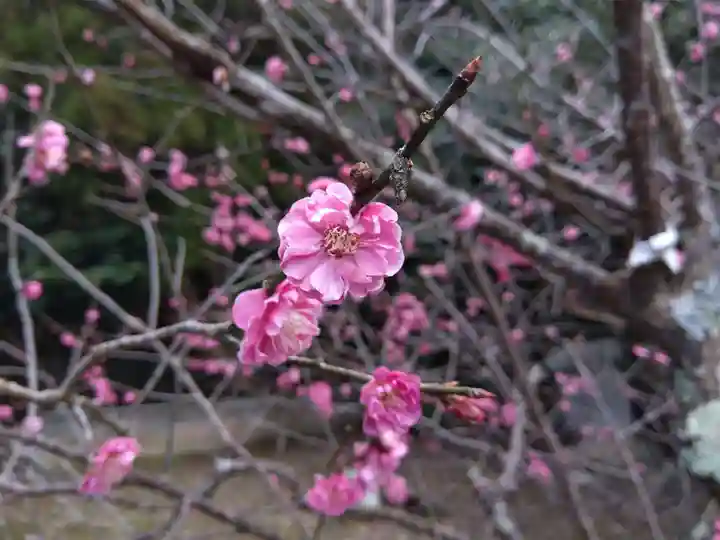 菅原神社(石川県)