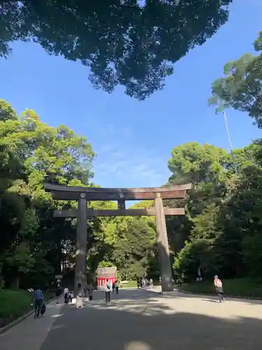 明治神宮(東京都)