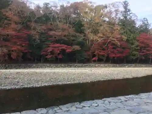 伊勢神宮内宮（皇大神宮）の自然