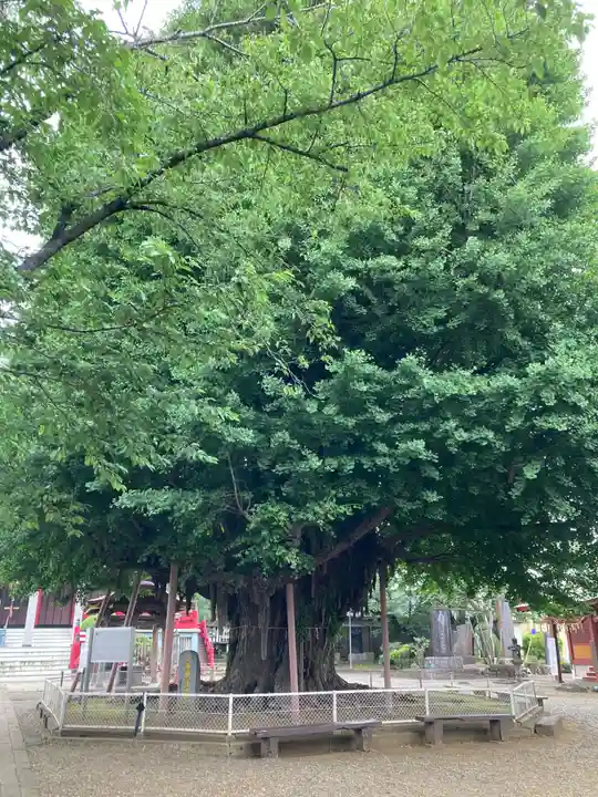 千葉寺(千葉県)