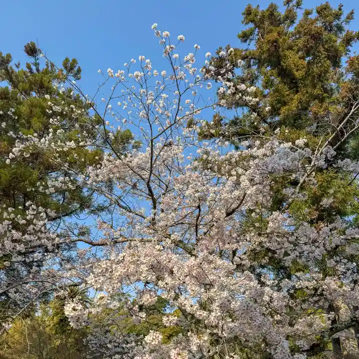 伊勢の国 四天王寺(三重県)